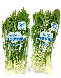 【有機認証】島根の有機みず菜（水菜）約150gP　x2個セット【冷蔵】