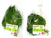 楽天市場】大葉（大葉・しそ｜その他野菜）：野菜・きのこ<食品の通販
