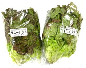 y_z錧@쎛̃Tj[^X@1P@x2Zbgy①z