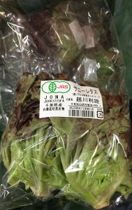 yL@F؁zt@Ԃ̗L@Tj[^X@1Pi1`2j@x2Zbgy①z