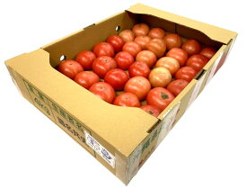 【有機認証】沖縄の有機トマト（30〜35個入）1箱【冷蔵】