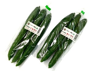 y_zʌY@[Ĵイ@3{P@x2Zbgy①z