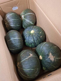 【特別栽培】鹿児島県産　徳之島のかぼちゃ(4～8個入）10kg箱【冷蔵】