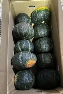 �y�L�@�F�؁z�F�{���@���̗L�@���ڂ���i9�`12�j1���@��8kg�y�①�z