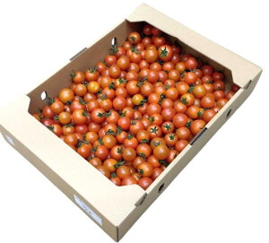 トマト ミニトマト 3Kg」の人気商品一覧 | 安い商品を通販サイトから 