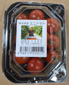 �y���_��z�F�{���Y�@���̃~�j�g�}�g�@��120gP�@x2�Z�b�g�y�①�z