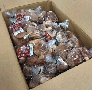 yL@F؁z򕌌@pőiۏ͔|ji󂠂Eӂ낢j200gP×20Pijy①z