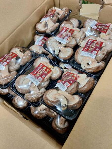 yL@F؁z򕌌orOd@pőiۏ͔|j100gP@×30Pijy①z