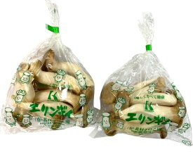 【農薬未使用】鳥取県　プチエリンギ　約150gPx4 セット【冷蔵】