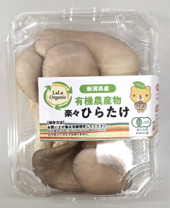 yL@F؁zV@L@Ђ炽@70gPx4 Zbgy①z