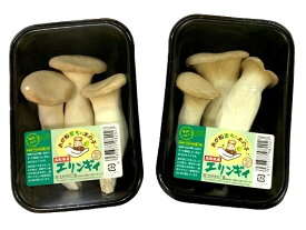 【農薬未使用】鳥取県　エリンギ　約100gPx4 セット【冷蔵】