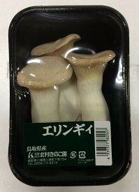 【特別栽培】鳥取県　エリンギ　約100gP　x2個セット【冷蔵】