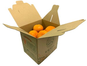 y_zk@茧@Ԏq݂@2kgy①z