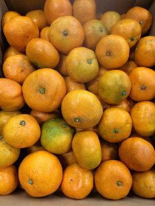 y_zk@̑B݂@10kgy①z