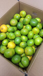 y_zk@F{@̎q̋ɑB݂@5kgy①z