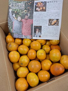 y_zk@Q@X̑B݂@10kgy①z