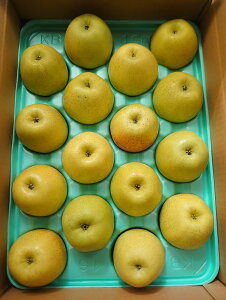 y_z쌧@񂲁@F̉сi13`20j5kgy①z