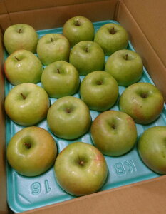 y_z쌧@񂲁@F̃Oj[X~Xi13`22j5kgy①z