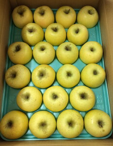 y_z쌧@񂲁@F̃VimS[hi13`22j5kgy①z