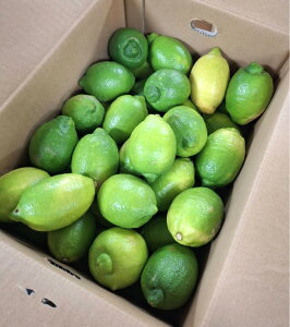 yL@F؁z|݂ށ@L@˓c̗L@@5kgy①z