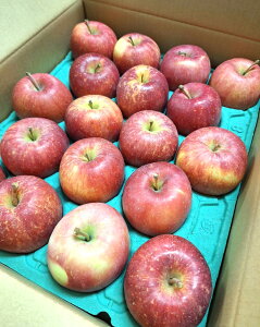 y_zX@񂲁@X̑ӂi13`20j5kgy①z