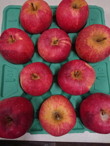 y_zQn@񂲁@Γc̐Ei10`20j5kgy①z