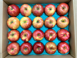 y_zQn@񂲁@Γc̍Ti10`25j5kgy①z