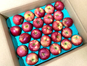 y_zQn@񂲁@Γc̐VEi12`25j5kgy①z