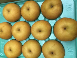 y_z쌧@a@MB̓쐅iji9`18j5kgy①z