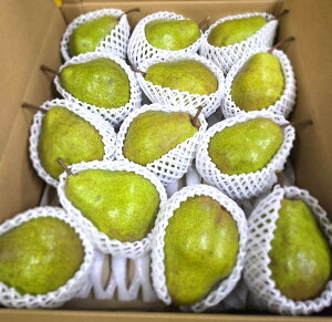 y_zQn@m@Γc̍EtXi10`24j5kgy①z