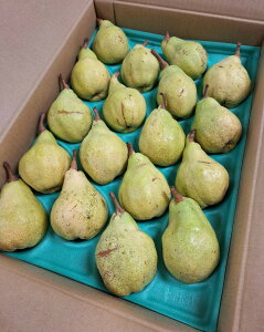 y_z쌧@m@MB̃EtXi14`18j5kgy①z