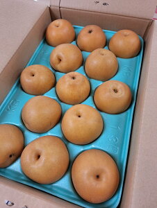 y_zȖ،@a@ږ삳̗iɂji9`13j5kgy①z