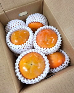 y_zJL@a̎R@IB̑傫H`i1350gOj2kgy①z