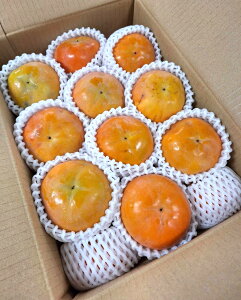 y_zJL@a̎R@IB̑傫H`i1350gOj5kgy①z