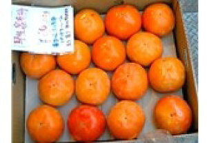 y_zJL@ޗǂ̕xL`i22`32j5kgy①z