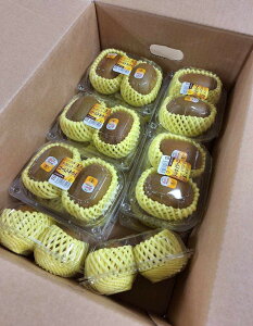 yL@F؁zj[W[hY@L@LECt[ciS[hj2P@350g@×12P@y①z