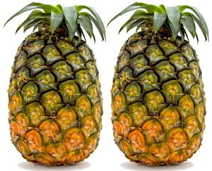 y_z̃pCibvinCj2STCY@1(0.7`0.9kg)@x2Zbgy①z