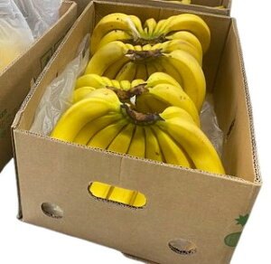 yL@F؁zy[Y@I[KjbN@L@oii@@13kgO(5[j1 y①z