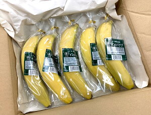 yL@F؁zy[Y@I[KjbN@L@oii@1{P@×10{y①z