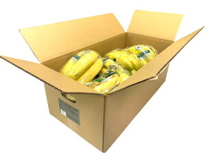 yL@F؁zLVRY@I[KjbN@L@oii@570gP@×12Py①z