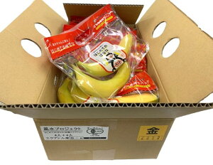 【有機認証】エクアドル産 オーガニック 有機バナナ 無くん蒸 はじめてのばなな 約300gP×8P入 1箱【冷蔵】