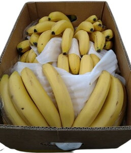 【有機認証】エクアドル産 オーガニック 有機バナナ 無くん蒸(バラ)約11kg箱 【冷蔵】