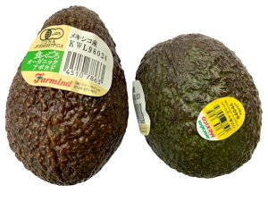 yL@F؁zLVRY@L@A{Jh@1@x2Zbgy①z