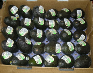 yL@F؁zLVRY@L@A{Jhi30j1y①z