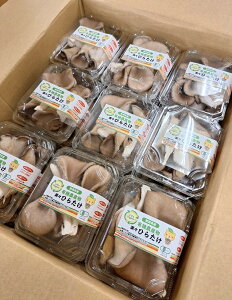 yL@F؁zijV@L@Ђ炽@70gP×54P/y①z