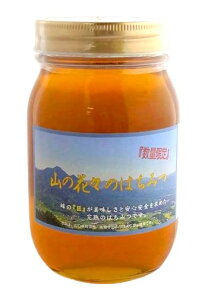 Ɨ{I@I@R̉ԁX݂̂͂@600g@x2Zbg