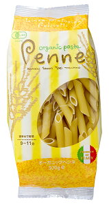 yi[ցjztF`FbeB@L@yl@300gx2 Zbg