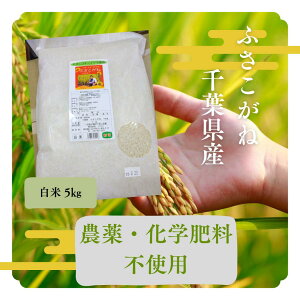 y2025Nxāzt̂ӂˁ@ā@5kg@t