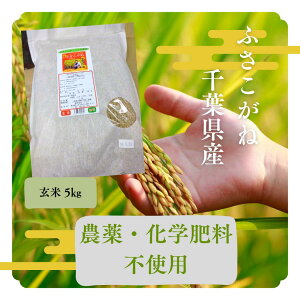 y2025Nxāzt̂ӂˁ@ā@5kg@t