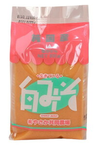 ₳_@₳@X@500g@x2Zbgy①z